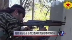 克里:国际社会合作打击伊斯兰国有助中东和平 克里:国际社会合作打击伊斯兰国有助中东和平