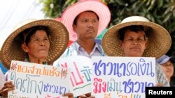 泰国农民在曼谷郊外举着标语抗议,要求总理英拉解决按照稻米补贴项目应该发放给他们的款项。(2014年2月6日资料照)