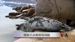 格陵兰冰盖继续消融 格陵兰冰盖继续消融