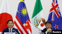日本和越南官员2017年11月11日宣布11国达成新TPP意向(路透社)