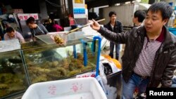 资料照:中国广州市的一个最大海鲜市场。(2014年2月26日)