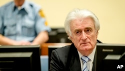Радован Караджич у залі суду. Гаага, Голландія.