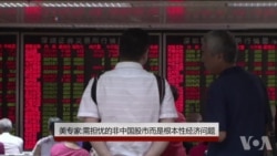 美专家:需担忧的非中国股市而是经济结构 美专家:需担忧的非中国股市而是经济结构