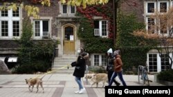 资料照片:新冠疫情期间,人们携犬走过威斯康星大学麦迪逊分校的校园。(2020年10月19日)