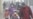 湖北恩施一小学内八名学生被害