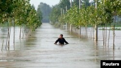 中国安徽王家坝地区的一名村民在被洪水淹没的道路上行走。(2020年7月10日)