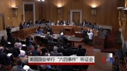 美国会举行六四听证会 美资深外交家对中国看法迥异 美国会举行六四听证会 美资深外交家对中国看法迥异