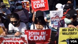 Civil Disobedience Movement (CDM)