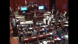 埃及就新宪法进行全国辩论 埃及就新宪法进行全国辩论