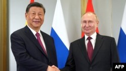 俄罗斯总统普京在上合组织成员国领导人峰会期间,在阿斯塔纳与中国国家主席习近平会面。(俄罗斯国家通讯社斯普特尼克)