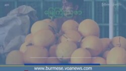 ကိန်းဂဏန်း အချက်အလက် ကွဲလွဲနေတဲ့ မြန်မာ့စိုက်ပျိုးထုတ်ကုန် ပမာဏ  ကိန်းဂဏန်း အချက်အလက် ကွဲလွဲနေတဲ့ မြန်မာ့စိုက်ပျိုးထုတ်ကုန် ပမာဏ