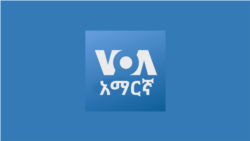 ከምሽቱ ሦስት ሰዓት የአማርኛ ዜና ከምሽቱ ሦስት ሰዓት የአማርኛ ዜና