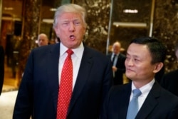 资料照:美国当选总统川普和中国阿里巴巴集团董事会主席马云在纽约川普大楼举行会晤。(2017年1月9日)