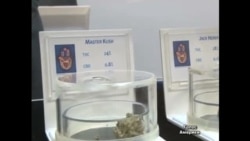 Медична марихуана у США - лише для важко хворих Медична марихуана у США - лише для важко хворих