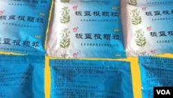 板蓝根颗粒中成药。中国官员称板蓝根能防治H7N9禽流感,民间随即抢购板蓝根。(美国之音袁美拍摄)