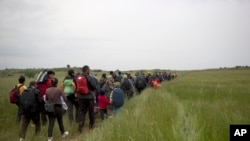 移民和难民5月12日离开在希臘邊界小鎮伊多梅尼(Idomeni)的临时营地,徒步通过田野,试图越过埃夫卓尼村(EVZONI)附近的希腊与马其顿边境。