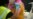 16x9 Image