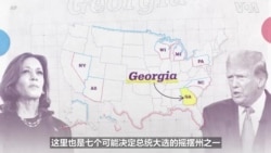 佐治亚2024:深入了解这个关键战场州 佐治亚2024:深入了解这个关键战场州