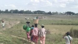 စစ်ကိုင်းတိုင်း မင်းကင်းမြို့နယ်တဝိုက် အခြေနေတင်းမာ စစ်ကိုင်းတိုင်း မင်းကင်းမြို့နယ်တဝိုက် အခြေနေတင်းမာ