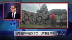 媒体观察:缅甸重判中国伐木工 北京表达不满 媒体观察:缅甸重判中国伐木工 北京表达不满