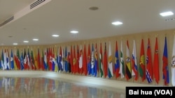 上议院联邦委员会中所悬挂的俄罗斯各地区的旗帜。(美国之音白桦拍摄)