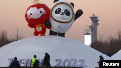 工人在北京冬奥会场馆树起冬奥会吉祥物冰墩墩和雪容融。(2022年1月11日)