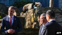 中国总理李强于参访澳大利亚的首站阿德莱德动物园宣布,北京将提供两只新的大熊猫,延续熊猫外交。(法新社)