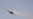 Франція підтвердила передачу Україні 6 винищувачів Mirage 2000-5F - медіа