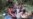 16x9 Image