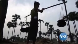 ထန်းတောထဲက ကိုမောင်ဝင်း ထန်းတောထဲက ကိုမောင်ဝင်း