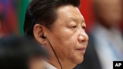 中国国家主席习近平 (资料照片)