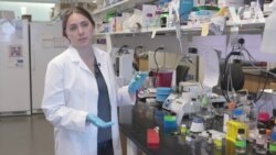 Українські науковці у США випробовують революційний метод лікування раку. Відео Українські науковці у США випробовують революційний метод лікування раку. Відео