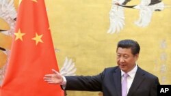 中共总书记习近平(资料照片)