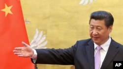 中共总书记习近平 (资料照片)