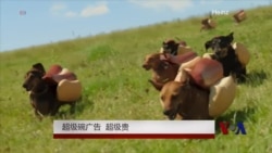 超级碗广告 超级贵 超级碗广告 超级贵