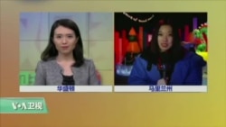 VOA连线:哈尔滨艺术家华盛顿冰雕展 VOA连线:哈尔滨艺术家华盛顿冰雕展