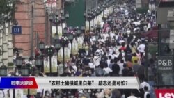 时事大家谈: “农村土猪要拱城里白菜”,励志还是可怕? 时事大家谈: “农村土猪要拱城里白菜”,励志还是可怕?