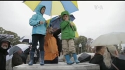 Ось чому 2015-й був роком української культури у США. Відео Ось чому 2015-й був роком української культури у США. Відео