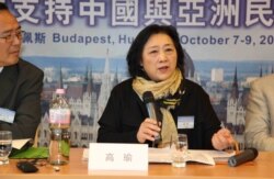 资料照:高瑜2012年10月在布达佩斯全球支持中国和亚洲民主化论坛大会上演讲