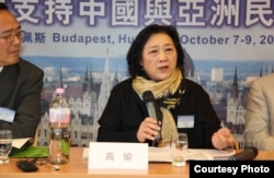 高瑜2012年10月在布达佩斯全球支持中国和亚洲民主化论坛大会上演讲(民主中国阵线总部理事李震拍摄)