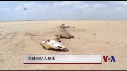 全球40亿人缺水 全球40亿人缺水