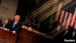 美国总统特朗普在国会参众两院联席会议上发表国情咨文演讲。(2018年1月30日)