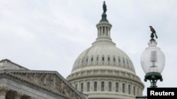 Пташка сидить на ліхтарі навпроти будівлі Капітолію США, Вашингтон.