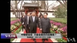 时事大家谈:中朝密会后,川金会是否仍应继续? 时事大家谈:中朝密会后,川金会是否仍应继续?