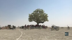 Чому кожного року десятки тисяч людей їдуть на фестиваль Burning Man. Відео Чому кожного року десятки тисяч людей їдуть на фестиваль Burning Man. Відео