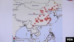 台湾立法院内政委员会有关非洲猪瘟在中国的质询图表 (美国之音张永泰拍摄)