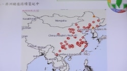 非洲猪瘟在中国蔓延,台湾方面严阵以待 非洲猪瘟在中国蔓延,台湾方面严阵以待