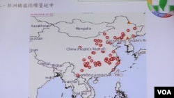台湾立法院内政委员会有关非洲猪瘟在中国的质询图表 (美国之音张永泰拍摄)