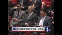 联合国对叙利亚销毁化武达成一致决议 联合国对叙利亚销毁化武达成一致决议
