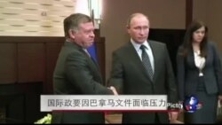 世界政要因巴拿马文件面临压力 世界政要因巴拿马文件面临压力